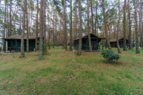 Urlaub im Bungalow mitten im Wald, Lütow